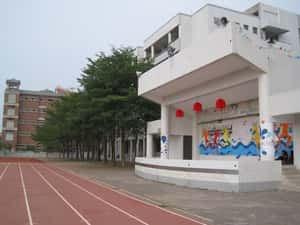 【地球圖書館】為什麼用田徑場，而不是「臺北操場」？校園裡的軍事用語與司令臺的延續