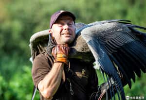 【動物保育不能等的地球 24小時】08/27  大禿鷲與我
