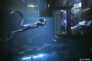 飯店民宿怎麼住都好膩？  來試試看巴黎水族館打造的鯊魚客房吧