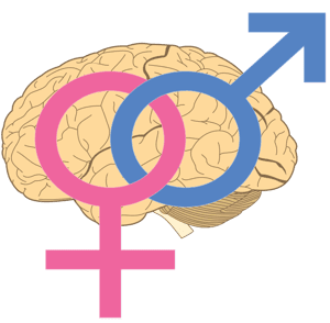 女生團結力量大？研究證實男男或男女混搭成效最好
