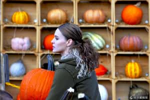 老美瘋嗑 南瓜香料無所不在