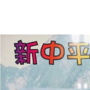新中平汽車有限公司