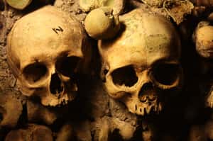 巴黎地下墓穴三日驚魂  失蹤少年獲救