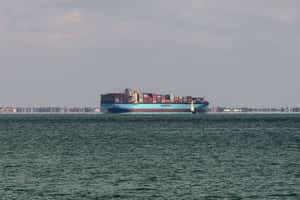 受困埃及蘇伊士灣四年 獨自待在貨輪上的船員終於下船了