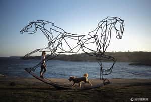 到海邊當文青 澳洲沙灘藝術展盛大開幕