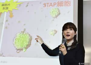 日本幹細胞研究遭爆作假