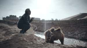 【地球放映室】《老獸》不像父親的父親  蒙古經濟發展下的老混蛋