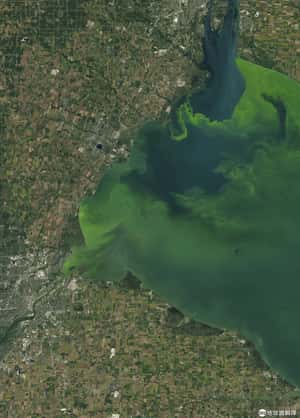 湖也要法律上的權利  美國俄亥俄州公投來表決