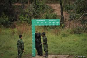 野生動物做體檢 雲南國家公園食誘