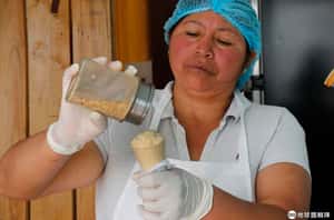 蟲蟲冰淇淋不稀奇 厄瓜多出現了天竺鼠冰淇淋