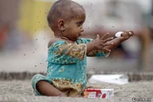 努力付諸流水  伊波拉疫情恐致瘧疾再爆發