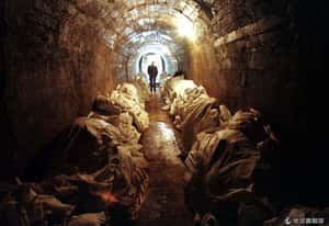 8000穆斯林遭屠殺   國際法庭判前塞國總統40年徒刑