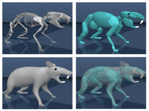 模仿真實老鼠的神經活動　科學家打造出擁有「AI大腦」的虛擬老鼠