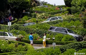 每天塞車10小時 舊金山九曲花街擬收過路費