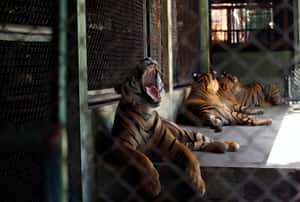 【地球 24小時】06/28 等待人客上門