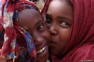 海尼根也來投資 衣索比亞啤酒城哈勒爾