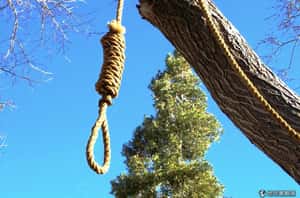 公開上吊   印度農民抗議土地改革