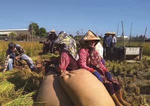 攝影界瘋農村古早味 社區長者成搶手模特兒