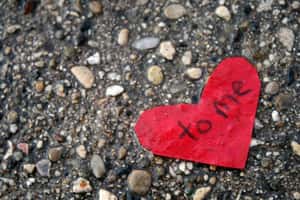 邊界遇到愛  馬其頓警察與難民共譜戀曲