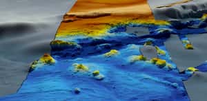 沒找到馬航MH370  卻看透南印度洋海底世界