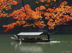 秋天限定！ 讓景色全染上詩意的京都楓紅美景