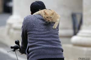 打擊空汙 米蘭計畫用「錢」鼓勵民眾騎單車