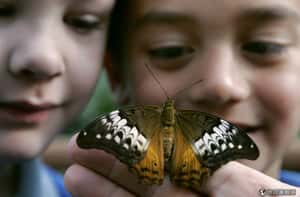 調查：生活富裕並不一定讓孩子更幸福