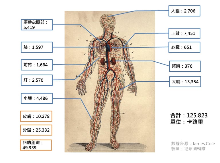 文章插圖