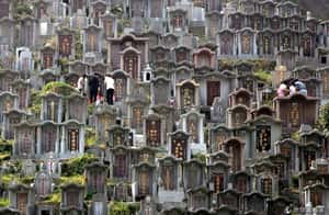 在香港，死亡不是件便宜事