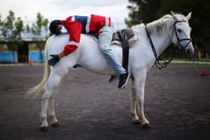 【地球 24小時】10/17 我的馬醫生