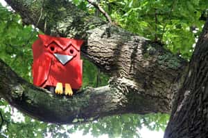 丹麥暖心小鳥屋   等著嬌客來入住