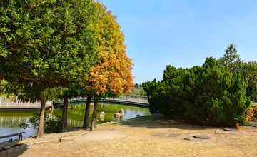 【遊記】彰化有個不輸「臺北大安森林公園」的公園，溪州公園 - 大漠國渡