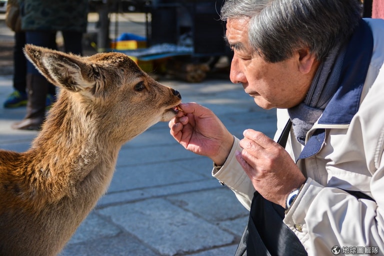 文章插圖