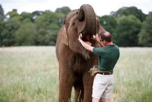【地球 24小時】06/14 來，放輕鬆，嘴巴張開喔