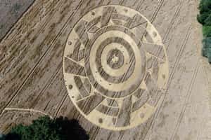 【地球 24小時】07/29 神秘麥田圈又來啦