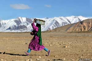 充滿荊棘的上學之路   禁止上學的阿富汗女孩