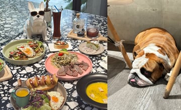 [台中西區] 三口”ㄜˋ”了勤美店｜法鬥主題餐廳｜平日點飲料加購早午餐只要 ＄100 元｜寵物友善餐廳推薦！ – 萍姐愛分享