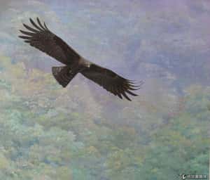 老鷹台語怎麼說？猛禽黑鳶和台灣人的故事