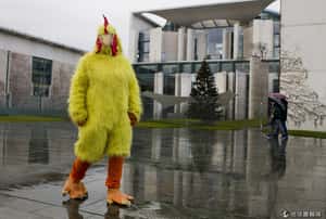 2017年房價評比  哪個城市漲幅最高？