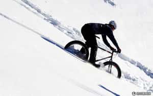 移民新路徑   從北極圈騎單車到挪威