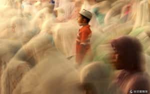 有其父必有其子 基因讓記憶在世代間流轉