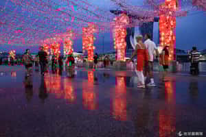 農曆年後迎元宵  新加坡燈會好熱鬧