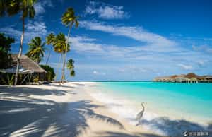 要抗議就滾出去   馬爾地夫禁移工示威