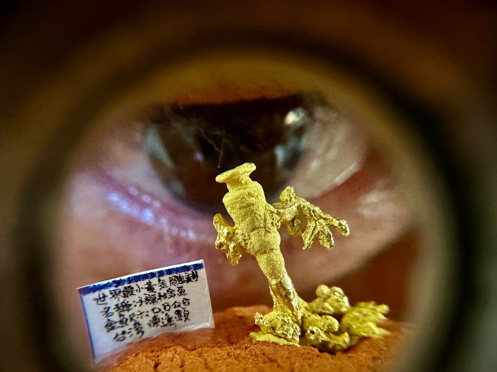 世界最小黃金雕刻作品《子彈與金魚》震撼登場陳逢顯以「子彈不長眼睛」呼籲和平