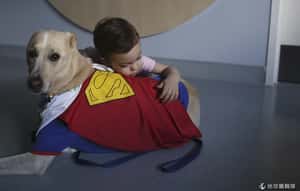 看一眼就幸福   美研究發現狗兒的神奇療癒效用