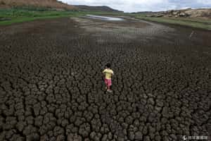 洪水、乾旱、熱浪越來越頻繁  人為氣候變遷惹得禍