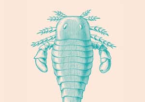 【地球圖書館】40億年生命史中的「地球之最」！世界上最早、最大的奇葩動物們