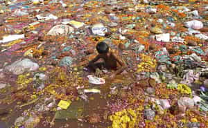 印度還有賤民嗎？【地球幫你問】印度種姓制度篇