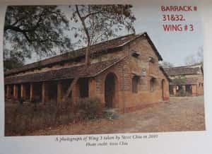 【南亞書田】《中國城歲月》：阿薩姆的茶園與華工（下）