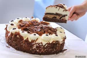 【地球咬一口】陶醉在酒漬櫻桃的童話世界  德國黑森林蛋糕